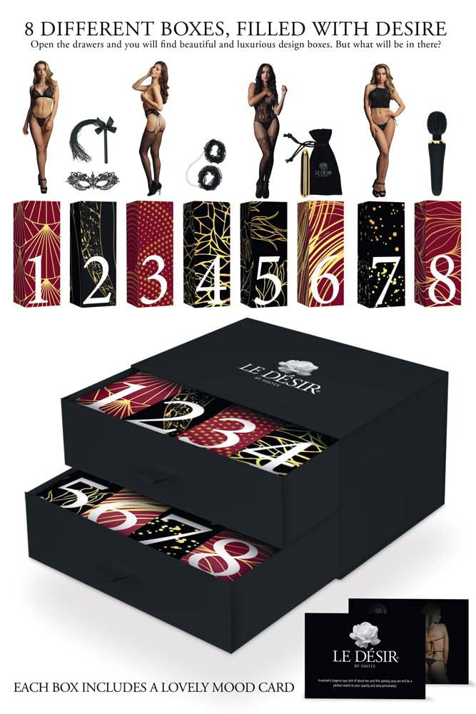 Le Désir Sexy Lingerie Calander Gift Box- multi-gift set from Le Desir - Lingerie & Kink Accessories - SAVE 50%! 2